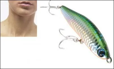 Mon tout est une chose colorée.