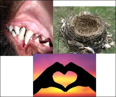 Mon tout est une personne qui est dans une émission.