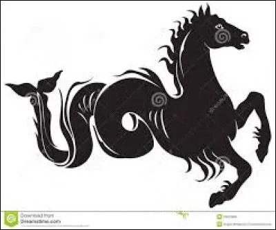 Quel est le nom de cette créature ?