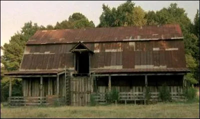 Comment Glenn découvre qu'il y a des rôdeurs dans la grange d'Hershel ?