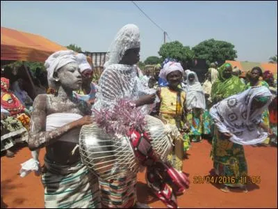 Les Peuls et les Bobos sont des :