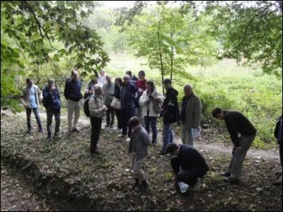 Quel est le nom de la personne qui a redécouvert, étudié et fait connaître le réseau au début du XXIe siècle après 300 ans de sommeil ?