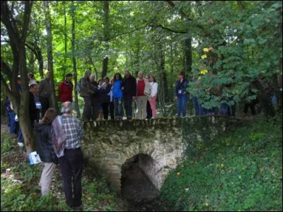 En quelle année a été créée l'association ARHYME (association pour la réhabilitation du réseau hydraulique du domaine royal de Meudon) ?