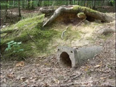 Quelle invention du XVIIe siècle a permis d'augmenter la hauteur des jets d'eau ?