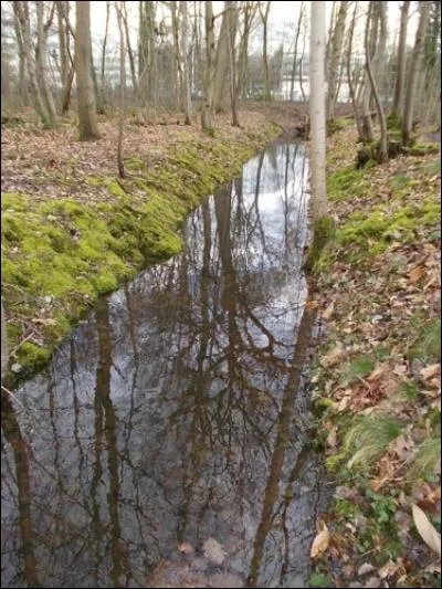 D'où venait l'eau alimentant les fontaines, cascades, jets d'eau et bassins du parc du château de Meudon ?