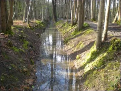 Quelle est la longueur cumulée des rigoles ?