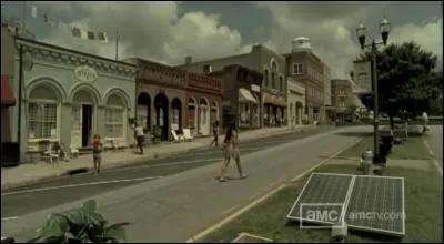 Andrea a continué sa survie avec la mystérieuse Michonne. Elles ont été retrouvées par Merle qui les a amenées dans une petite ville sécurisée. Quelle est cette ville ?