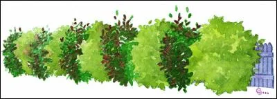 Le mot commence par Clo :