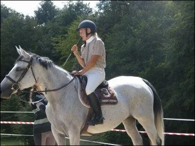 Quelle est la robe de cette jument ?