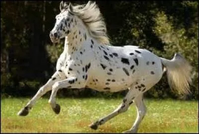 Que veut dire B.I.S ?