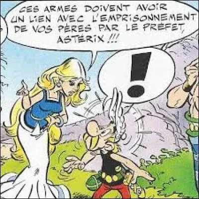 "Ast&eacute;rix et Latraviata" : &agrave; qui appartiennent les armes qui ont &eacute;t&eacute; offertes &agrave; Ast&eacute;rix et Ob&eacute;lix ?