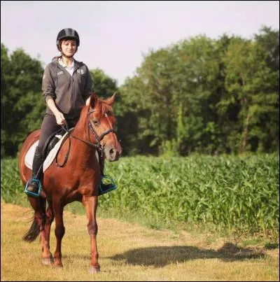 Quel cheval Wendy demande-t-elle en mariage dans la vidéo "Devine qui c'est" ?