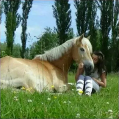 Quels sont les autres chouchous de Sonia ? (en dehors de Pastou)