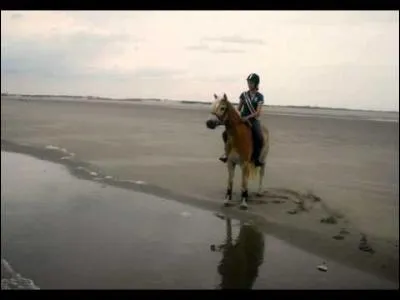 Quelle autre youtubeuse est dans le club de So Horsy?