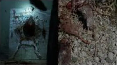 On découvre l'identité de la personne qui nourrissait les rôdeurs avec les animaux. Qui est-ce ?