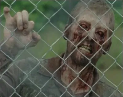 Un virus est arrivé dans la prison. Qui est le premier à être tombé malade ?