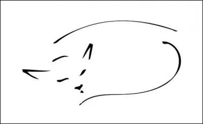 Fabricant, vendeur de brosses :