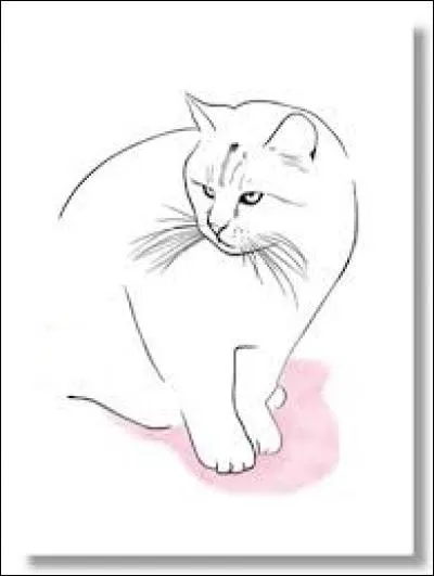 Relier les feuilles d'un livre :