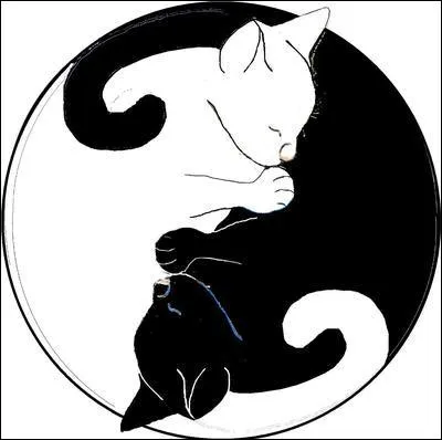 Récompense pour les courageux qui ont joué tout le quiz ! Un gâteau au chocolat d'origine américaine, fondant par endroits, avec ou sans noix :