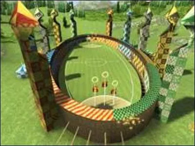 Quel sport Harry pratique-t-il ?