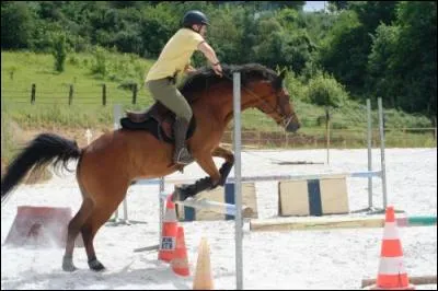 A-t-il une bonne posture à l'obstacle ?