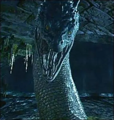 Quel serpent Harry a-t-il affronté en seconde année ?