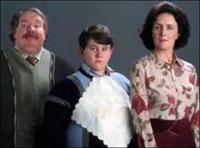Dans quelle famille Harry a-t-il vécu ?