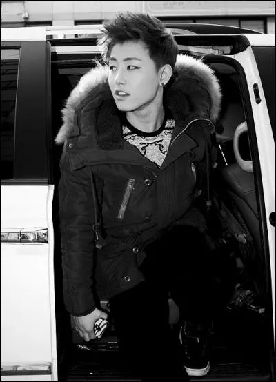 Quel manga pr&eacute;f&egrave;re-t-il ?