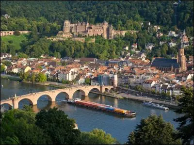 Quel cours d'eau arrose Heidelberg, si&egrave;ge de la plus vieille universit&eacute; allemande ?