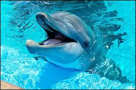 Le dauphin a un cousin qui s'appelle "Boto". Quelle est la particularité de son cousin ?