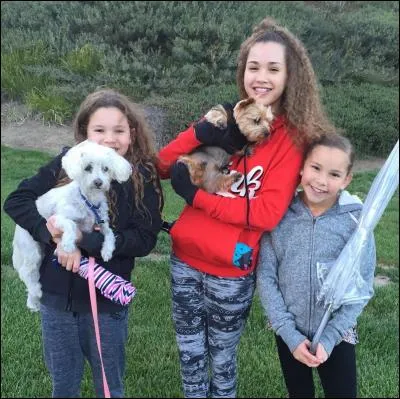 Comment s'appelle les chiens des Haschak ?