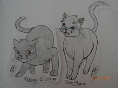 Quels sont leurs noms ?