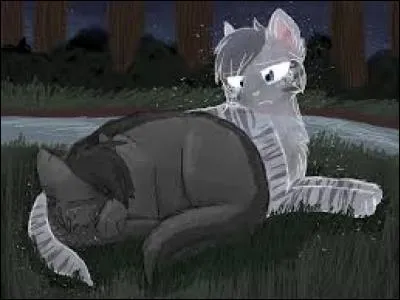 Comment leur mère meurt-elle ?