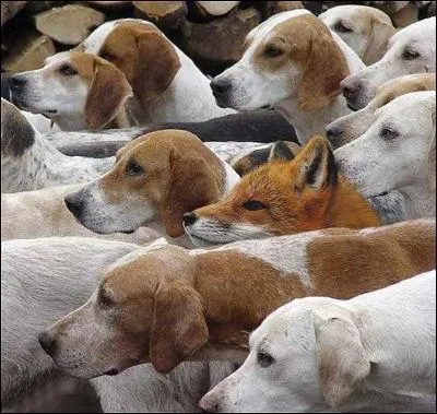 C'est une déesse de la mythologie romaine !