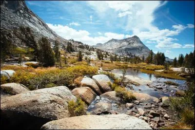 Trouvez le poisson correspondant au paysage !