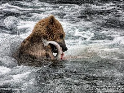 Mettez un nom sur le pays !