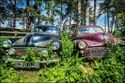 Qui a dit : Quand je vois une Alfa Romeo, j'ôte mon chapeau ?