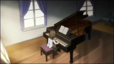 De quel instrument Riccardo joue-t-il ?