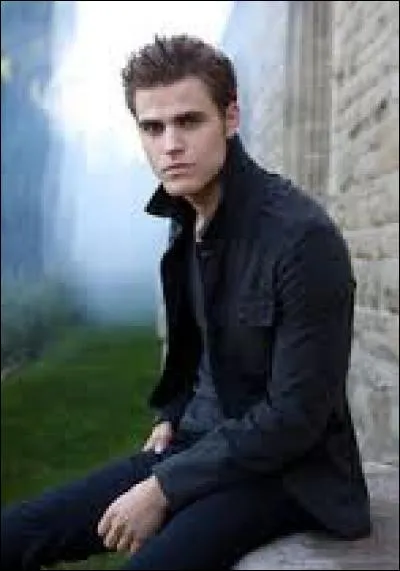 Quel est le travail de Stefan dans la saison 6 ?