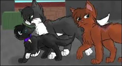 Qui rencontre-t-il en ville ?