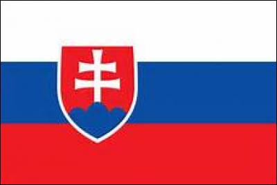 Dans quel groupe la Slovaquie était-elle ?