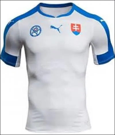 Dans son groupe, la Slovaquie est-elle arrivée devant la Russie ?