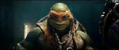 Quelle(s) est(sont) l'(les) arme(s) de Michelangelo ?