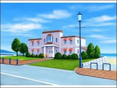 Qui vient habiter en premier dans l'hôtel Perle avec Lucie ?