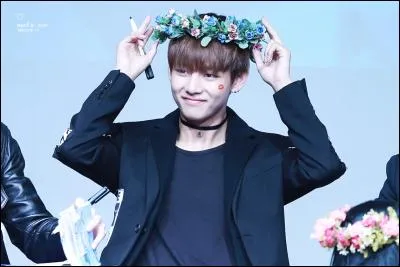 Quel est le nom du fandom de BTS ?