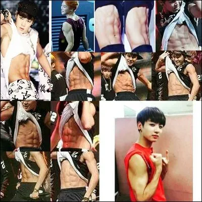 Quels sont les deux membres les plus musclés ?