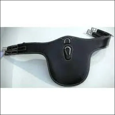 Comment appelle-t-on cet objet ?