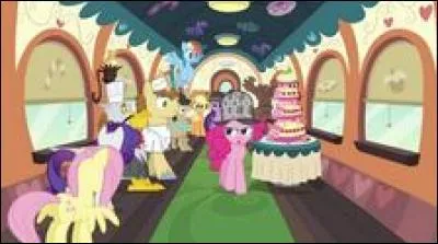 Le gâteau que Pinkie Pie devait garder sain et sauf pour un concours à Canterlot fut ruiné dans le train qui les y emmenait.
Qui était le coupable ?