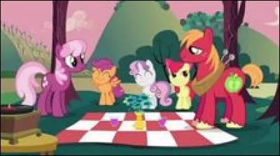 Que se passe-t-il quand les chercheuses de talent confectionnent un philtre d'amour à Miss Cheerilee et Big Macintosh ?