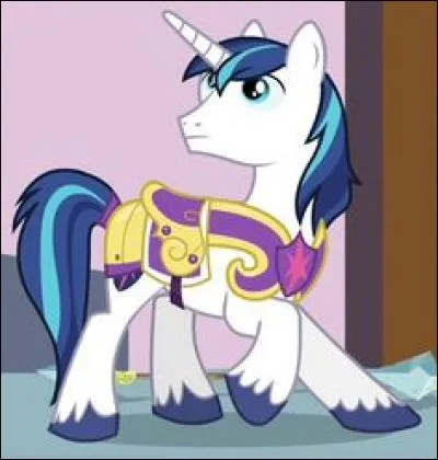 Qui est Shining Armor et quel est son rôle ? (deux choix)